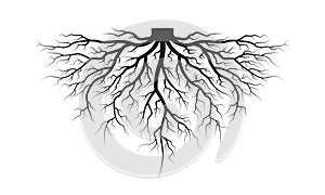 Root of the tree. Black silhouette. Vector illustration.